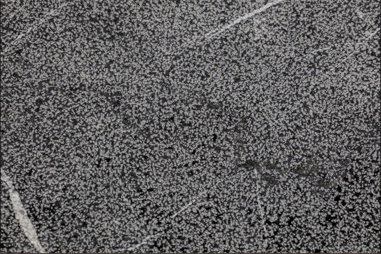 Tundra Gris Boucharde